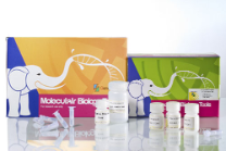 Plasmid Miniprep Plus Purification Kit Plasmid Miniprep Plus Purification Kit