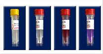 Taq Plus Master Mix 200x50ul rxns Taq Plus Master Mix 200x50ul rxns