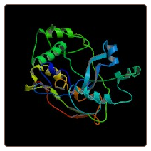 Rat Lecithin Cholesterol Acyltransferase , LCAT ELISA Kit