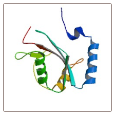 Human Microtubule-associated proteins 1A/1B light chain 3B , MAP1LC3B ELISA Kit