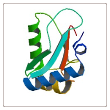 Rat Microtubule-associated proteins 1A/1B light chain 3B , MAP1LC3B ELISA Kit