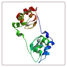 Human Baculoviral IAP repeat-containing protein 3 , BIRC3 ELISA Kit