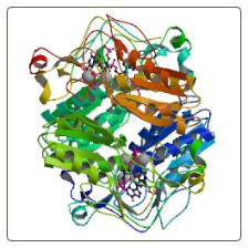 Human Guanine nucleotide-binding protein subunit beta-2-like 1 , GNB2L1 ELISA Kit