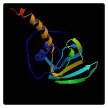 Human Death domain-associated protein 6 , DAXX ELISA Kit