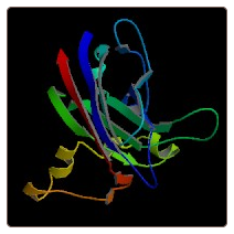 Human Dedicator of cytokinesis protein 1 , DOCK1 ELISA Kit
