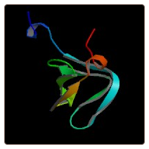 Mouse Dedicator of cytokinesis protein 1 , DOCK1 ELISA Kit