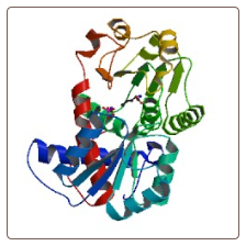 Human Cystathionine gamma-lyase , CTH ELISA Kit