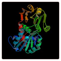 Mouse Amyloid beta A4 protein , APP ELISA Kit