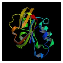 Human GDH/6PGL endoplasmic bifunctional protein [Includes: Glucose 1-dehydrogenase , H6PD ELISA Kit