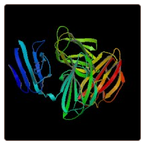 Human Dual specificity mitogen-activated protein kinase kinase 4 , MAP2K4 ELISA Kit