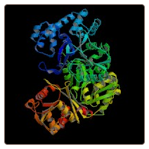 Mouse Carbamoyl-phosphate synthase [ammonia], mitochondrial , CPS1 ELISA Kit