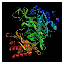 Human Phosphoenolpyruvate carboxykinase [GTP], mitochondrial , PCK2 ELISA Kit