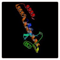 Human receptor-binding cancer antigen expressed on SiSo cells，RCAS1 ELISA Kit