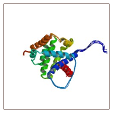 Human Bcl-2-like protein 11 , BCL2L11 ELISA Kit