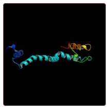 Human Pericentriolar material 1 protein , PCM1 ELISA Kit