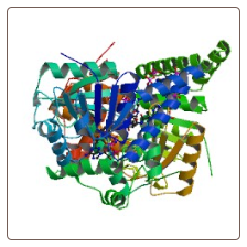 Human Hydroxyacyl-coenzyme A dehydrogenase, mitochondrial , HADH ELISA Kit