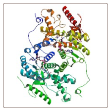 Human Cytochrome P450 11B2, mitochondrial , CYP11B2 ELISA Kit