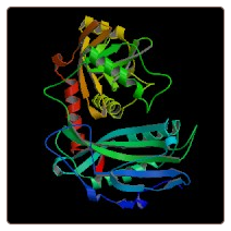 Mouse Branched-chain-amino-acid aminotransferase, mitochondrial , BCAT2 ELISA Kit