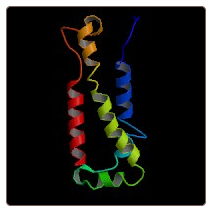 Human Elongation of very long chain fatty acids protein 2 , ELOVL2 ELISA Kit