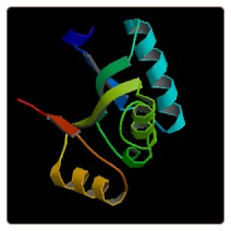 Human Glutamate--cysteine ligase regulatory subunit , GCLM ELISA Kit