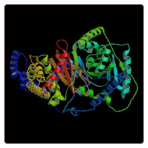 Mouse Carnitine O-palmitoyltransferase 1, liver isoform , CPT1A ELISA Kit