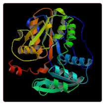 Rat cystathionine β-synthase , CBS ELISA Kit