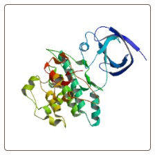 Human Glucose-6-Phosphate Dehydrogenase , G6PD ELISA Kit