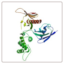 Human Cell adhesion molecule 1 , CADM1 ELISA Kit