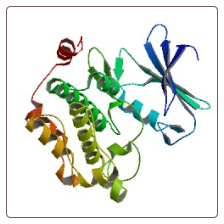 Human Proto-oncogene serine/threonine-protein kinase pim-1 , PIM1 ELISA Kit