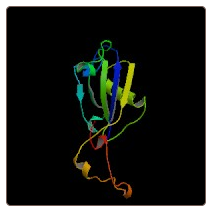 Human A-kinase anchor protein 4 , AKAP4 ELISA Kit