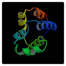 Human Netrin receptor UNC5B , UNC5B ELISA Kit