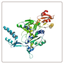 Human Glycyl-tRNA synthetase , GARS ELISA Kit