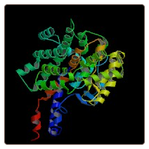 Human Citrate synthase, mitochondrial , CS ELISA Kit