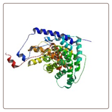 Pig Citrate synthase, mitochondrial , CS ELISA Kit