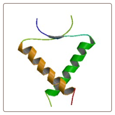 Human p53/tumor protein , p53/TP53 ELISA Kit