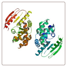 Human Fatty acid synthase , FASN ELISA Kit
