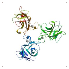 Mouse p53/tumor protein , p53/TP53 ELISA Kit