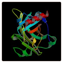 Rat p53/tumor protein , p53/TP53 ELISA Kit