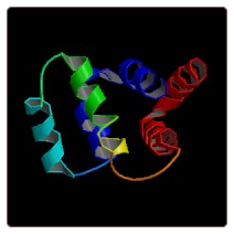 Mouse Tumor necrosis factor soluble receptor Ⅰ , TNFsR-Ⅰ ELISA Kit