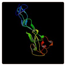 Rat Tumor necrosis factor soluble receptor Ⅱ , TNFsR-Ⅱ ELISA Kit