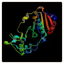 Rat NAD-dependent protein deacetylase sirtuin-1 , SIRT1 ELISA Kit