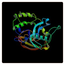 Mouse Cation-independent mannose-6-phosphate receptor , IGF2R ELISA Kit