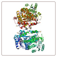 Human Corticosteroid 11-beta-dehydrogenase isozyme 1 , HSD11B1 ELISA Kit