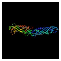 Rabbit cholesteryl ester transfer protein , CETP ELISA Kit