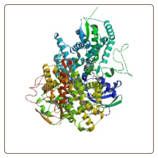 Human Cholesterol 7α-Hydroxylase , CYP7A ELISA Kit