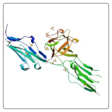 Human Fibroblast growth factor receptor 2 , FGFR2 ELISA Kit