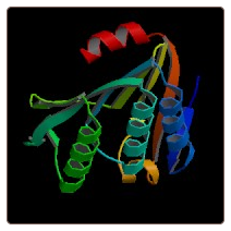 Human Protein FAM83H , FAM83H ELISA Kit