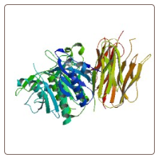 Human Proprotein convertase subtilisin/kexin type 9 , PCSK9 ELISA Kit