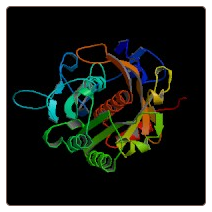 Rat Proprotein convertase subtilisin/kexin type 9 , PCSK9 ELISA Kit