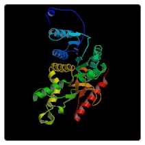 Human Ubiquitin-like modifier-activating enzyme ATG7 , ATG7 ELISA Kit